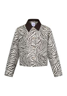 LOVE & DIVINE JAKKE, LOVE1621, EARTH ZEBRA